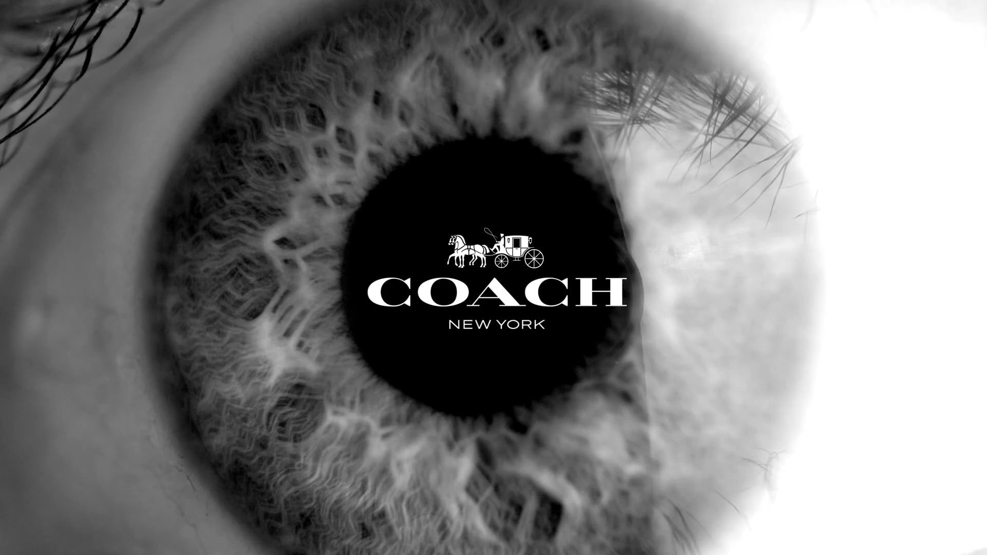 Coach - Collaborations Sizzle Reel