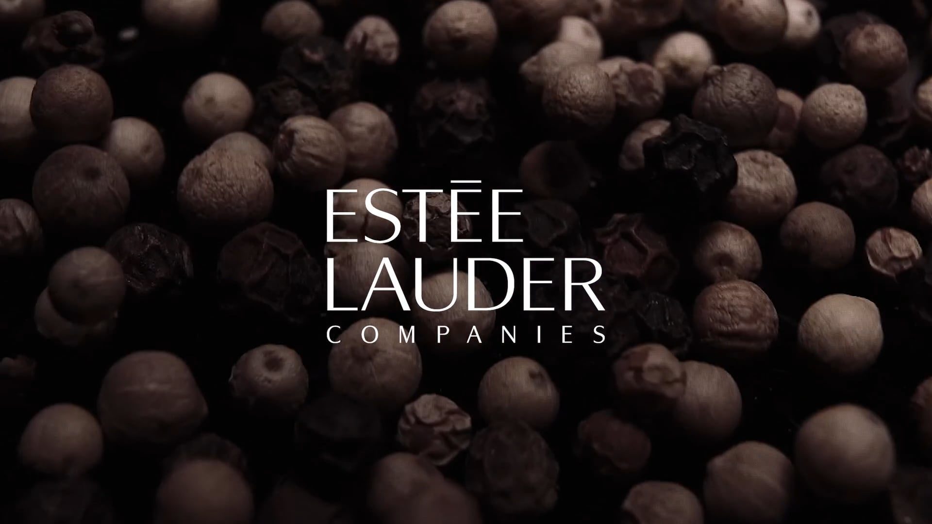 Estée Lauder Companies: The Global House of Prestige Beauty