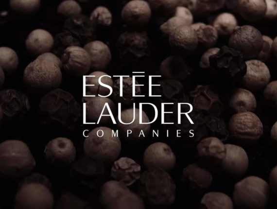 Estée Lauder Companies: The Global House of Prestige Beauty
