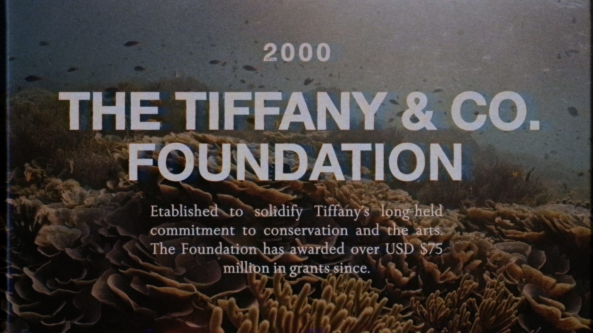 Promotional image for The Tiffany & Co. Foundation, established in 2000, highlighting its commitment to conservation and the arts, with over $75 million in grants awarded, set against a vibrant coral reef background.