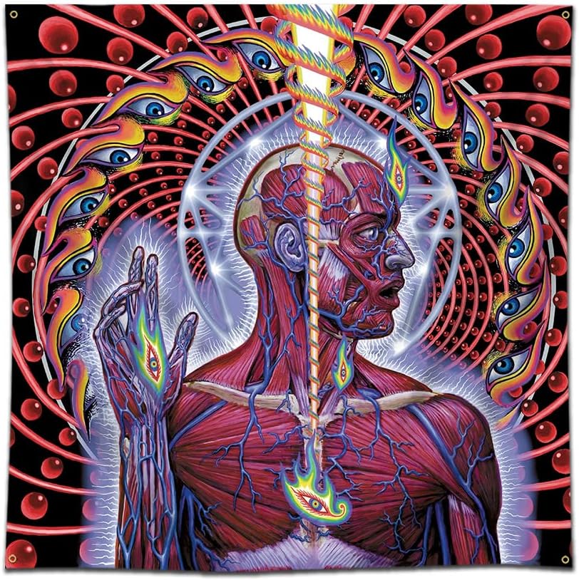 Alex Gray’s iconic artwork for Tool’s Lateralus album, featuring anatomical layers and psychedelic geometry.